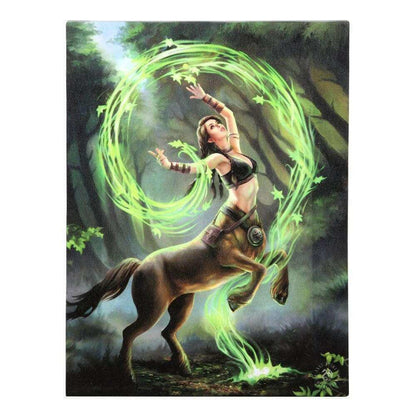Anne Stokes Earth Element Sorceress Canvas Art Plaque Wall Art's Anne Stokes Quirky Turkey Gifts