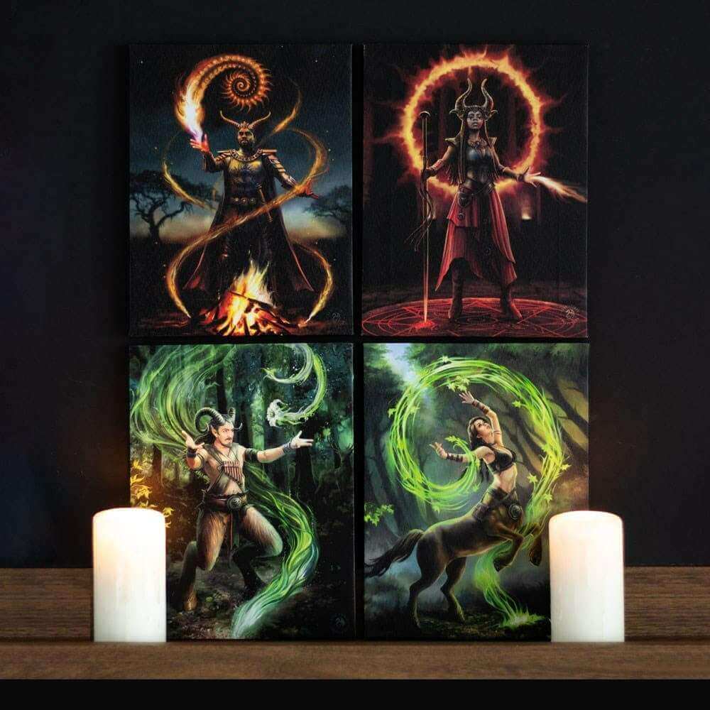 Anne Stokes Earth Element Sorceress Canvas Art Plaque Wall Art's Anne Stokes Quirky Turkey Gifts