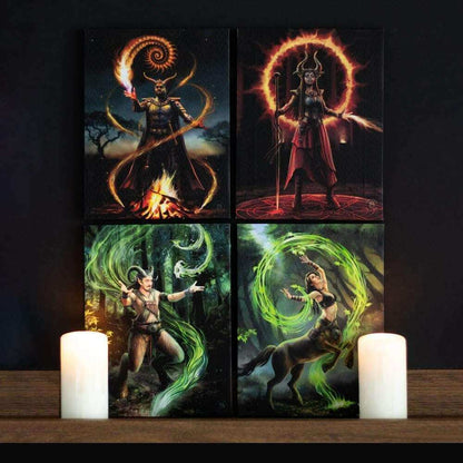 Anne Stokes Earth Element Sorceress Canvas Art Plaque Wall Art's Anne Stokes Quirky Turkey Gifts