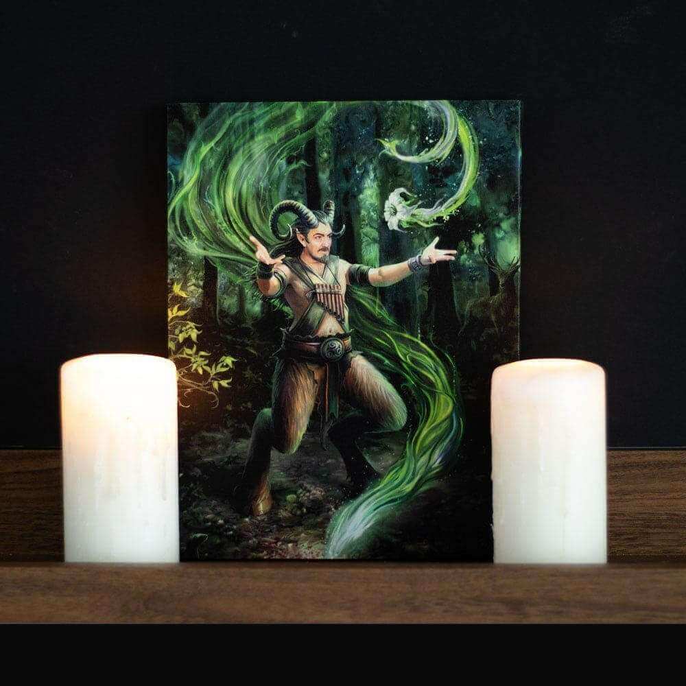 Anne Stokes Earth Element Wizard Canvas Plaque Wall Art Wall Art's Anne Stokes Quirky Turkey Gifts