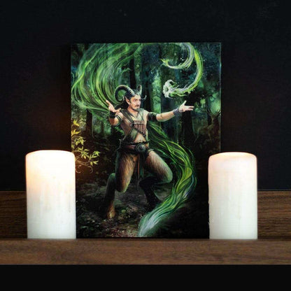 Anne Stokes Earth Element Wizard Canvas Plaque Wall Art Wall Art's Anne Stokes Quirky Turkey Gifts