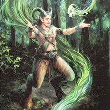 Anne Stokes Earth Element Wizard Canvas Plaque Wall Art Wall Art's Anne Stokes Quirky Turkey Gifts