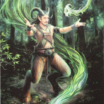 Anne Stokes Earth Element Wizard Canvas Plaque Wall Art Wall Art's Anne Stokes Quirky Turkey Gifts