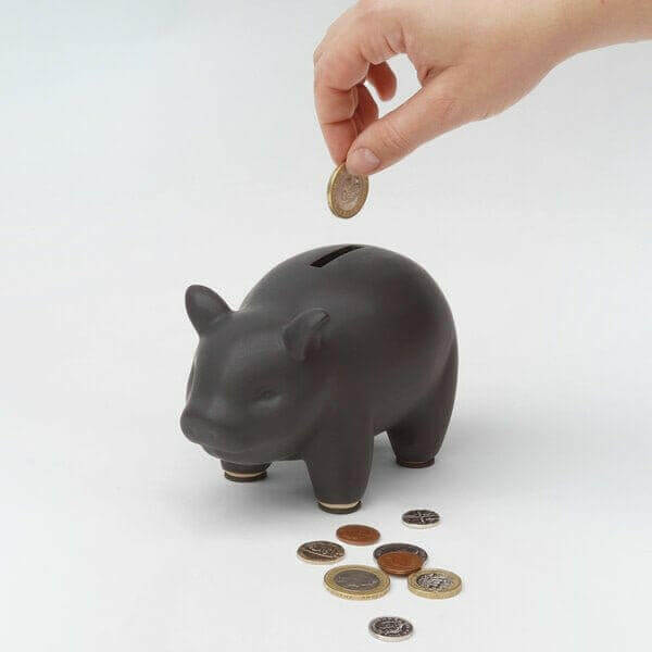 Capitalist Pig Piggy Bank with Chalkboard Surface and Gift Box Money Box Luckies Quirky Turkey Gifts