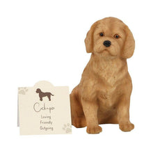 Cockapoo Resin Dog Ornament with Sentiment Card & Gift Box Home & Garden Jones Home & Gifts Quirky Turkey Gifts