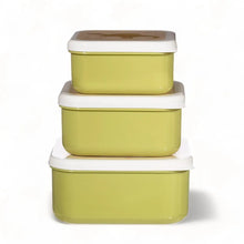 Desert Dino Lunch Boxes - Set of 3 Lunch Bags & Lunch Boxes Sass and Belle Quirky Turkey Gifts