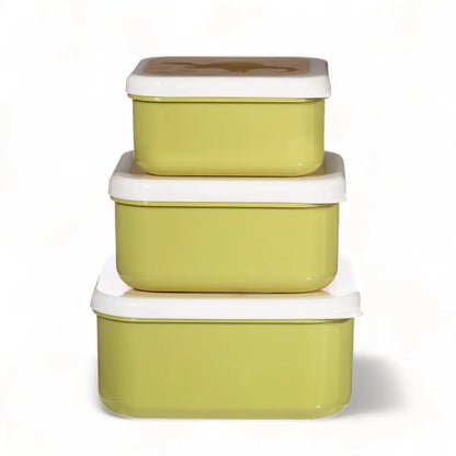 Desert Dino Lunch Boxes - Set of 3 Lunch Bags & Lunch Boxes Sass and Belle Quirky Turkey Gifts