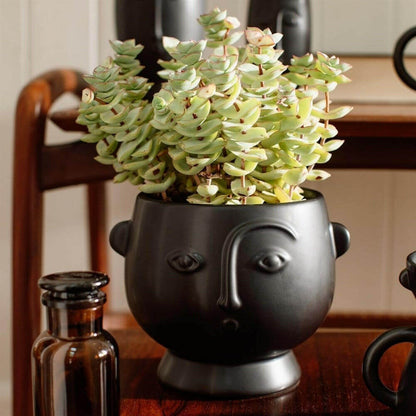 Face Hanging Planter Matte Pink and Matte Black Pots & Planters Sass and Belle Quirky Turkey Gifts