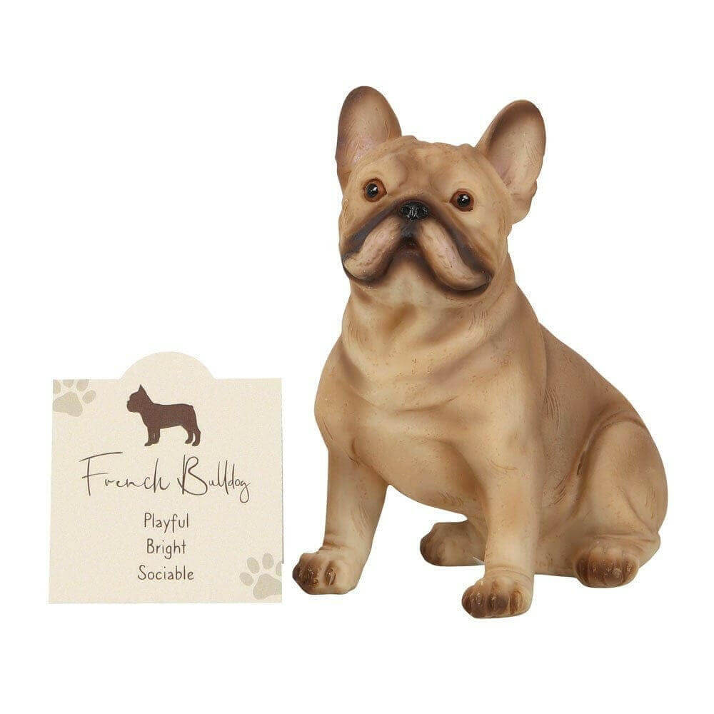 French Bull Dog Ornament with Sentiment Card & Gift Box Home & Garden Jones Home & Gifts Quirky Turkey Gifts