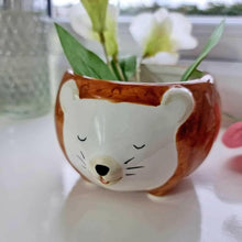 Hettie the Hedgehog Planter Bowl Pots & Planters Sass and Belle Quirky Turkey Gifts
