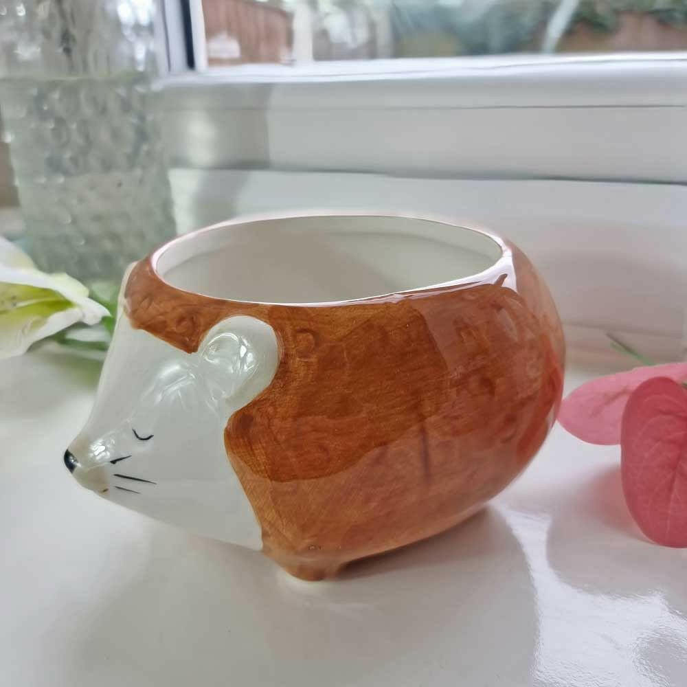 Hettie the Hedgehog Planter Bowl Pots & Planters Sass and Belle Quirky Turkey Gifts