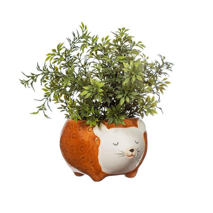 Hettie the Hedgehog Planter Bowl Pots & Planters Sass and Belle Quirky Turkey Gifts