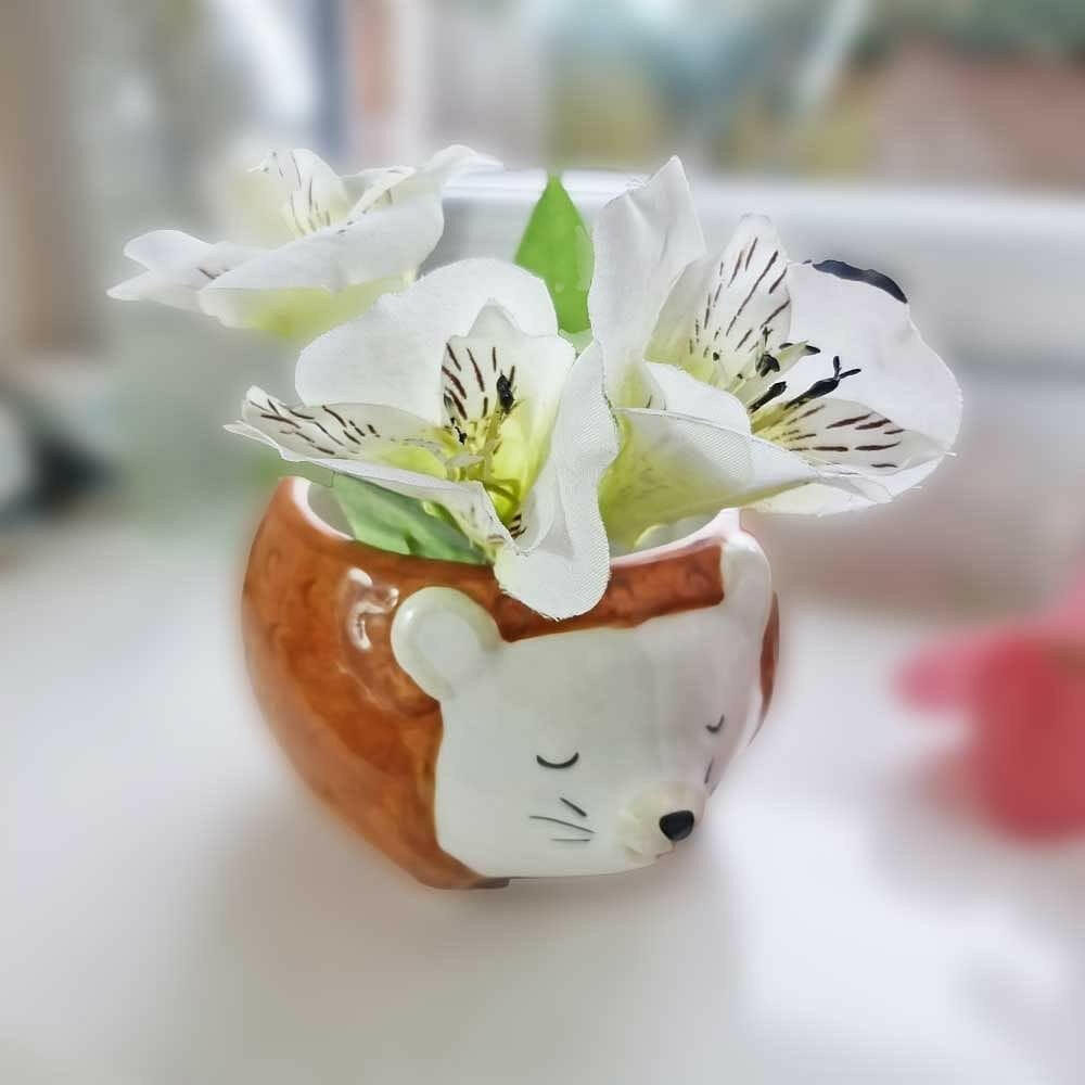 Hettie the Hedgehog Planter Bowl Pots & Planters Sass and Belle Quirky Turkey Gifts
