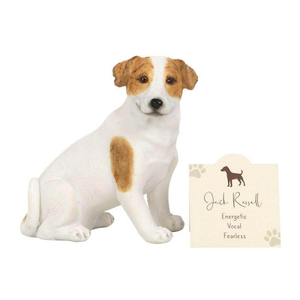Jack Russell Terrier Dog Ornament with Sentiment Card & Gift Box Home & Garden Jones Home & Gifts Quirky Turkey Gifts