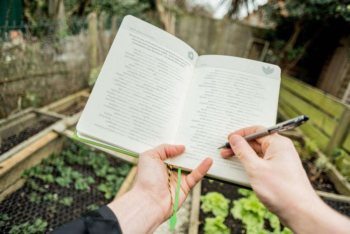 My Gardening Handbook, Gardeners Journal Over 300 Pages Gardeners Journal Handbook Luckies Quirky Turkey Gifts