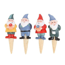 Set of 4 Mini Garden Gnome Plant Pot Pals, Fairy Garden, Planters Pots & Planters Jones Home & Gifts Quirky Turkey Gifts