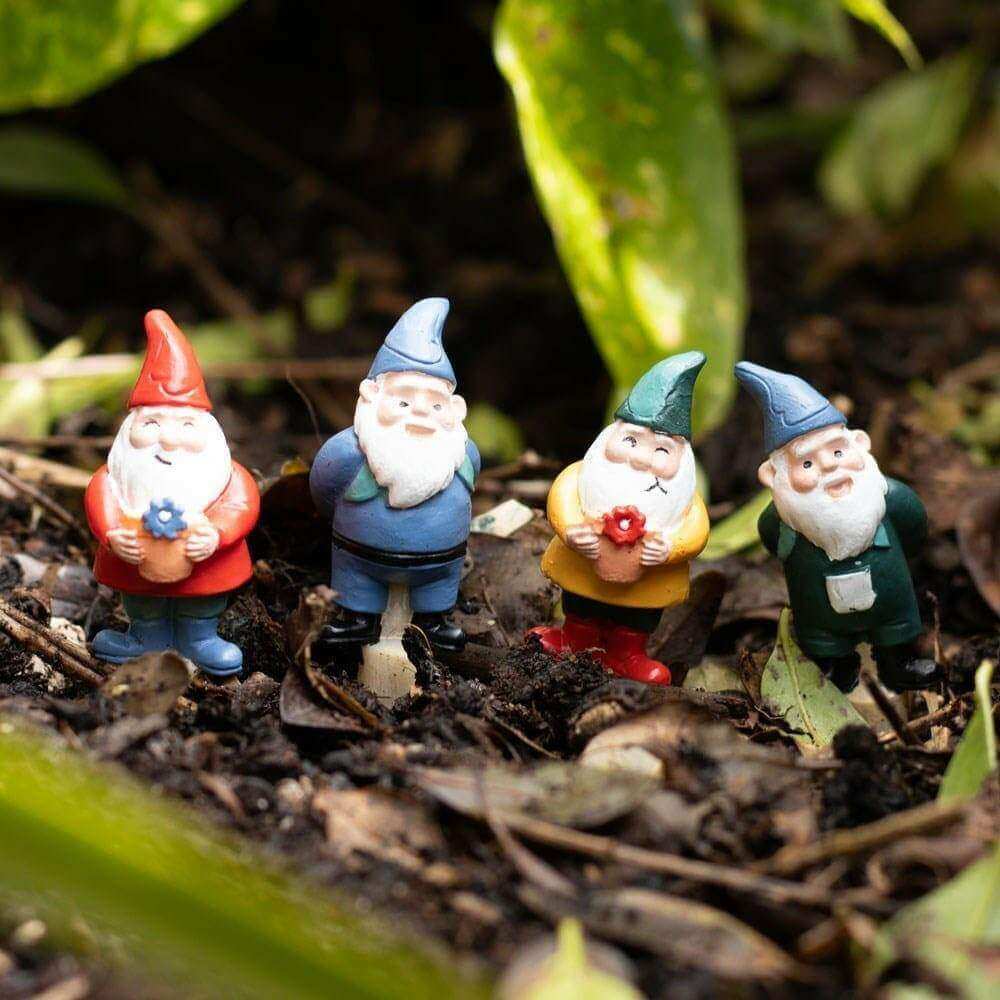 Set of 4 Mini Garden Gnome Plant Pot Pals, Fairy Garden, Planters Pots & Planters Jones Home & Gifts Quirky Turkey Gifts