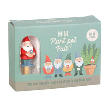 Set of 4 Mini Garden Gnome Plant Pot Pals, Fairy Garden, Planters Pots & Planters Jones Home & Gifts Quirky Turkey Gifts