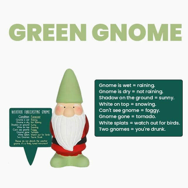 Small Garden Weather Forecasting Gnomes in 3 Colours 15cm Tall Pots & Planters Jones Home & Gifts Quirky Turkey Gifts