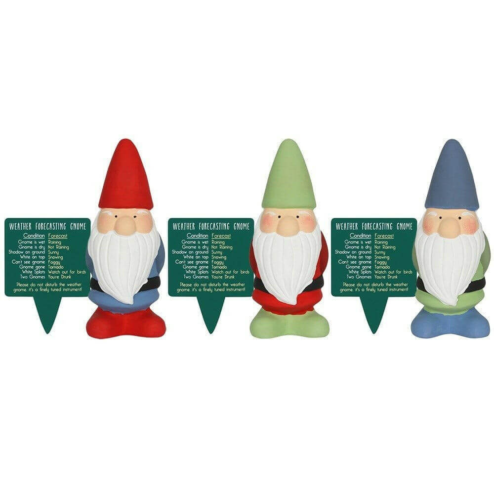 Small Garden Weather Forecasting Gnomes in 3 Colours 15cm Tall Pots & Planters Jones Home & Gifts Quirky Turkey Gifts