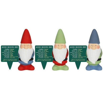 Small Garden Weather Forecasting Gnomes in 3 Colours 15cm Tall Pots & Planters Jones Home & Gifts Quirky Turkey Gifts
