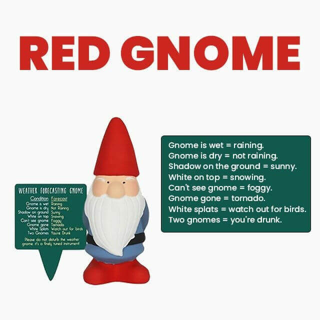 Small Garden Weather Forecasting Gnomes in 3 Colours 15cm Tall Pots & Planters Jones Home & Gifts Quirky Turkey Gifts