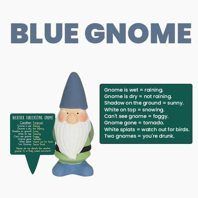 Small Garden Weather Forecasting Gnomes in 3 Colours 15cm Tall Pots & Planters Jones Home & Gifts Quirky Turkey Gifts
