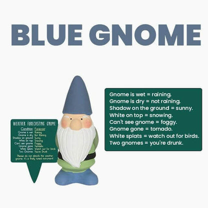 Small Garden Weather Forecasting Gnomes in 3 Colours 15cm Tall Pots & Planters Jones Home & Gifts Quirky Turkey Gifts