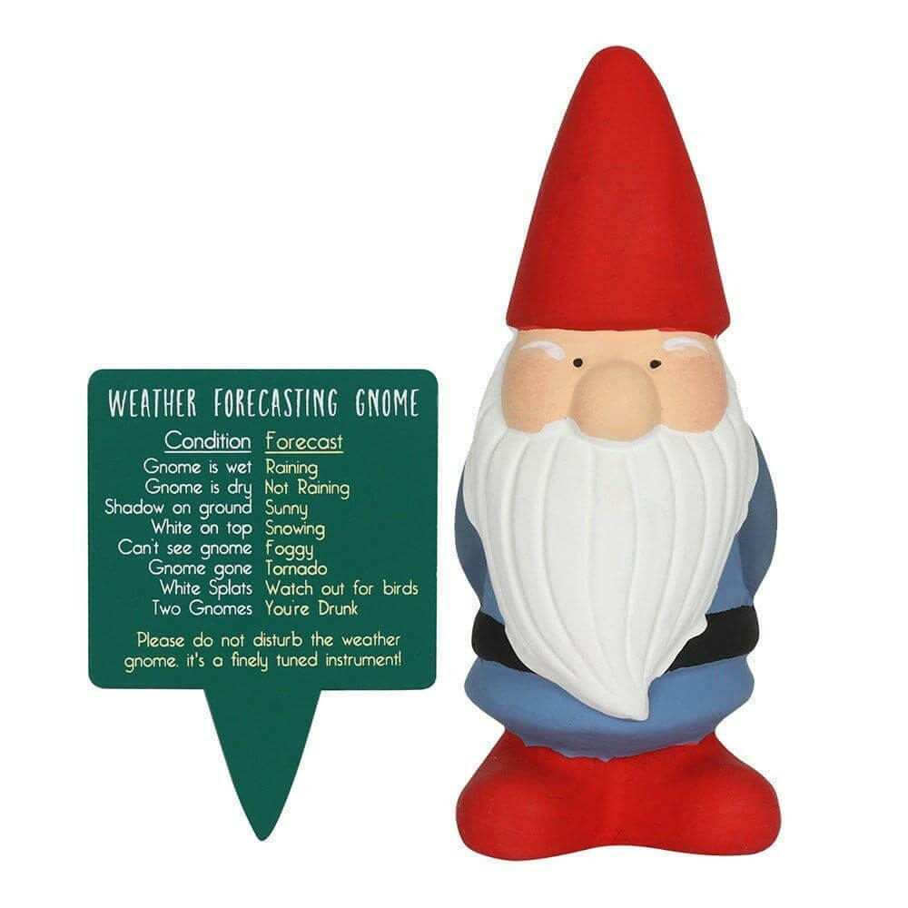 Small Garden Weather Forecasting Gnomes in 3 Colours 15cm Tall Pots & Planters Jones Home & Gifts Quirky Turkey Gifts
