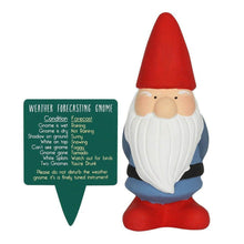 Small Garden Weather Forecasting Gnomes in 3 Colours 15cm Tall Pots & Planters Jones Home & Gifts Quirky Turkey Gifts