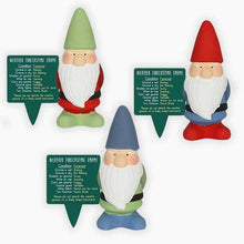 Small Garden Weather Forecasting Gnomes in 3 Colours 15cm Tall Pots & Planters Jones Home & Gifts Quirky Turkey Gifts