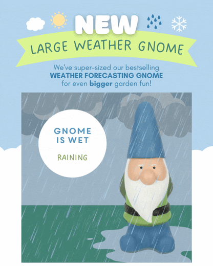 Weather Forecast Garden Gnome – Humorous Terracotta 30cm Home & Garden Jones Home & Gifts Quirky Turkey Gifts