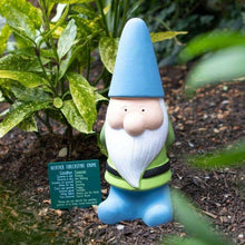 Weather Forecast Garden Gnome – Humorous Terracotta 30cm Home & Garden Jones Home & Gifts Quirky Turkey Gifts