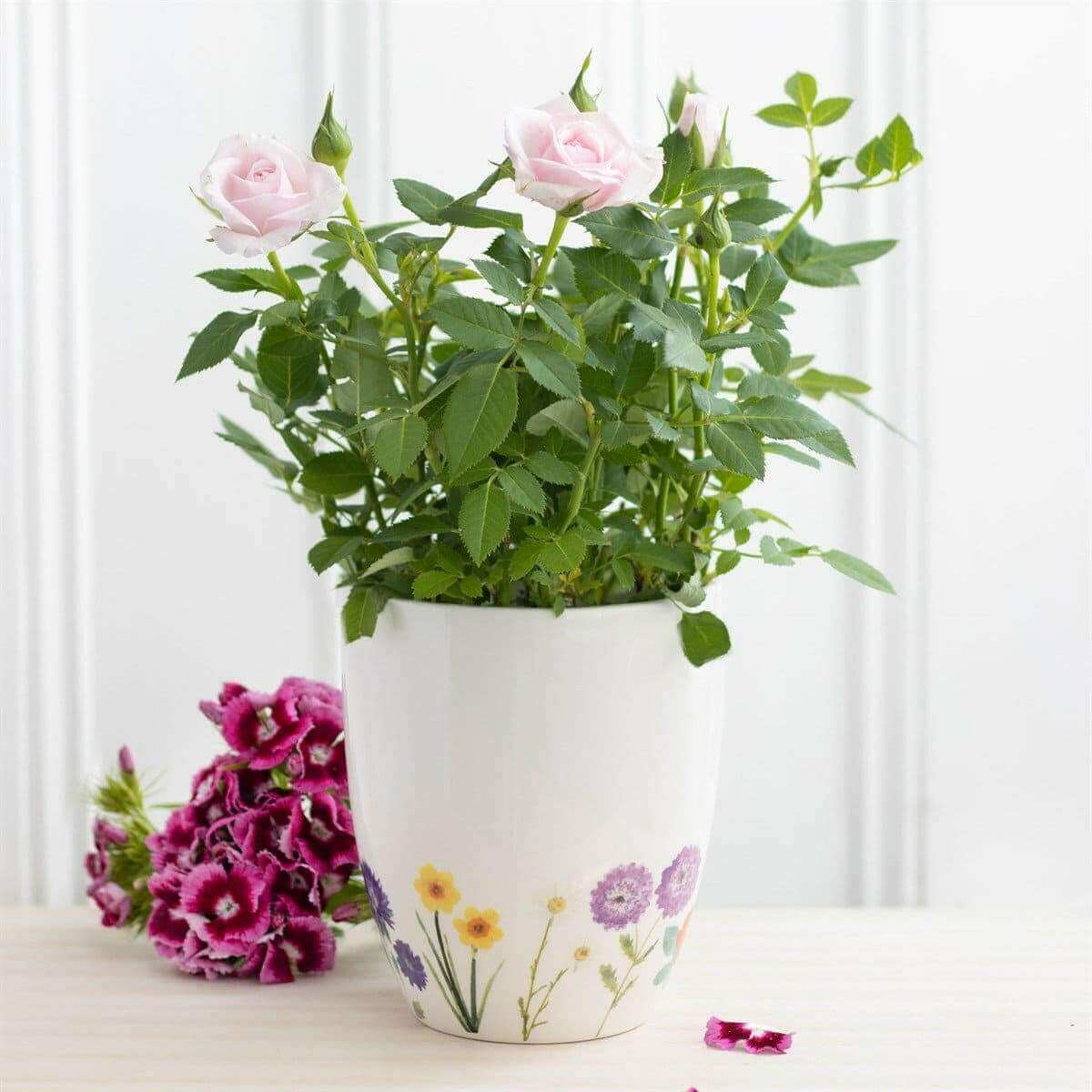 Wildflower Ceramic Plant Pot Pots & Planters Jones Home & Gifts Quirky Turkey Gifts