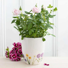 Wildflower Ceramic Plant Pot Pots & Planters Jones Home & Gifts Quirky Turkey Gifts