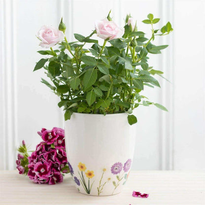 Wildflower Ceramic Plant Pot Pots & Planters Jones Home & Gifts Quirky Turkey Gifts