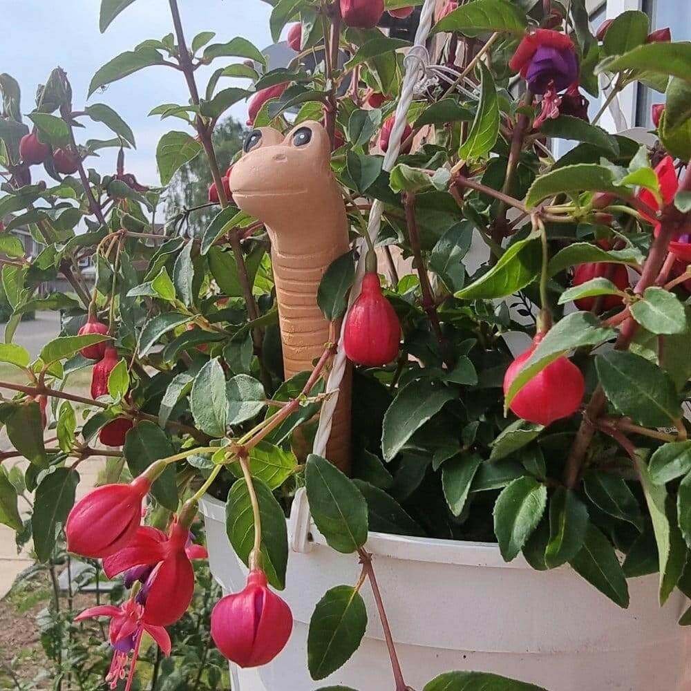 Willy the Garden Worm Water Sensor Gardeners Tool Pots & Planters Jones Home & Gifts Quirky Turkey Gifts