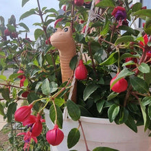 Willy the Garden Worm Water Sensor Gardeners Tool Pots & Planters Jones Home & Gifts Quirky Turkey Gifts
