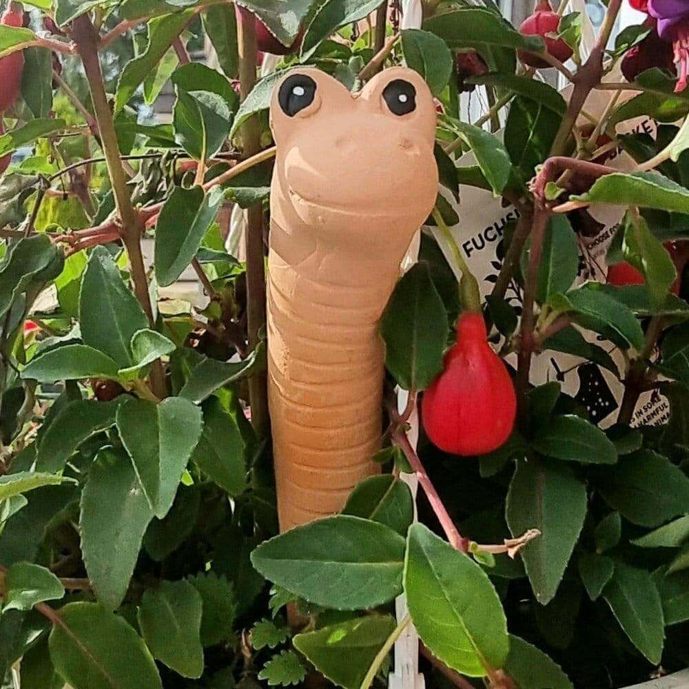 Willy the Garden Worm Water Sensor Gardeners Tool Pots & Planters Jones Home & Gifts Quirky Turkey Gifts