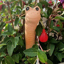 Willy the Garden Worm Water Sensor Gardeners Tool Pots & Planters Jones Home & Gifts Quirky Turkey Gifts