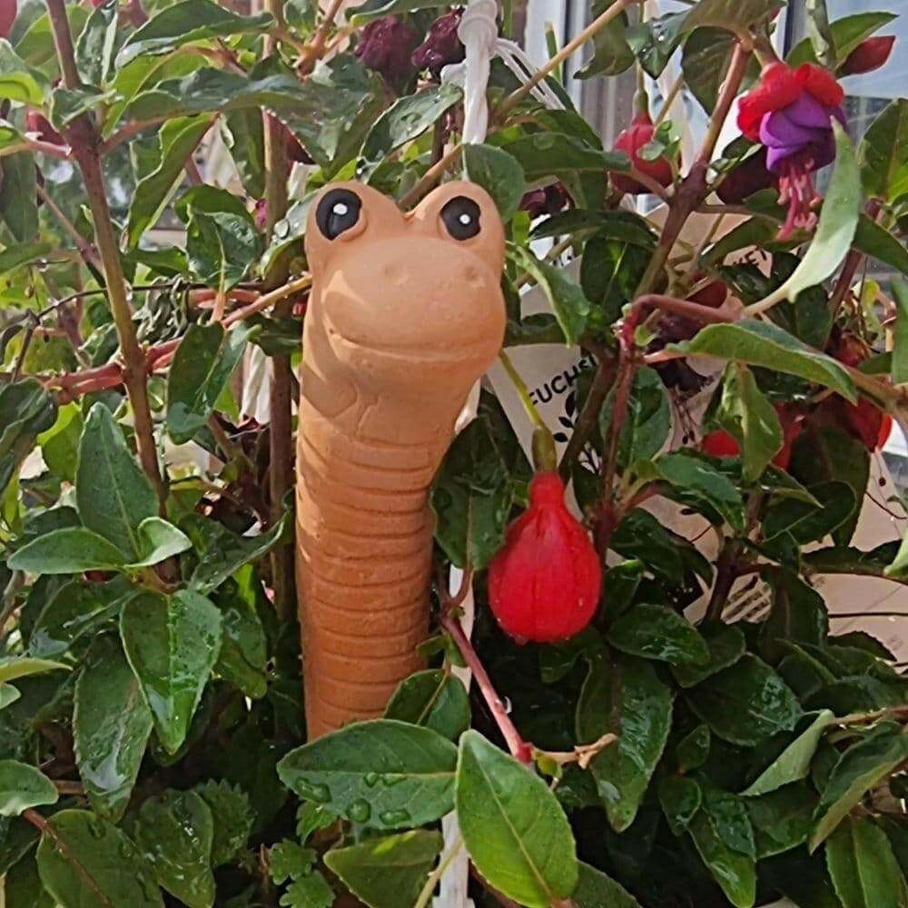 Willy the Garden Worm Water Sensor Gardeners Tool Pots & Planters Jones Home & Gifts Quirky Turkey Gifts