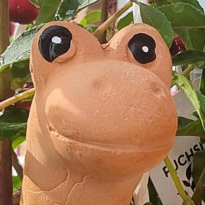 Willy the Garden Worm Water Sensor Gardeners Tool Pots & Planters Jones Home & Gifts Quirky Turkey Gifts